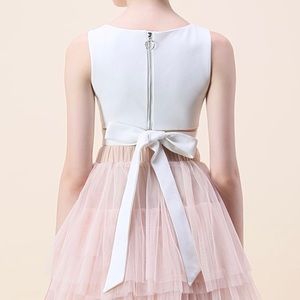 Chicwish White Bowknot Crop Top